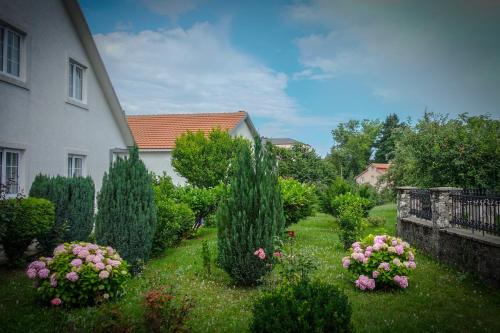 Zahrada ubytování Markov konak