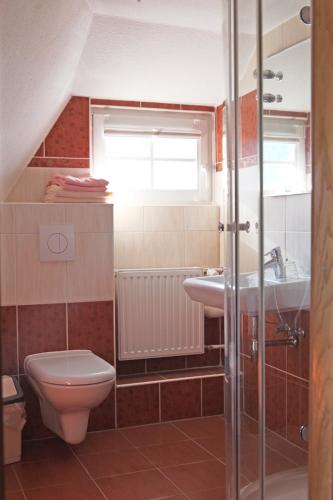 a bathroom with a toilet and a sink at Eiscafe&Pension Schumann in Bresewitz