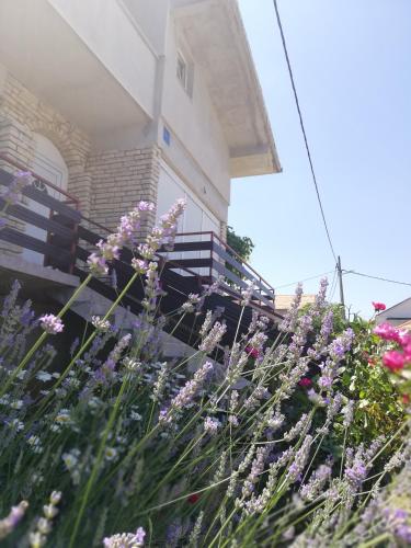 Gallery image of Apartmani Marija in Otok Pašman