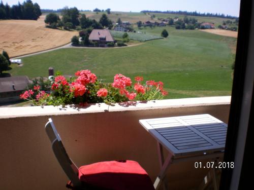 a table and a chair on a balcony with flowers at Visavis in Gondiswil