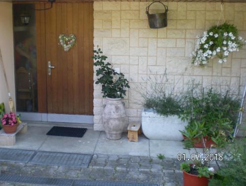 una puerta delantera de una casa con macetas en Visavis en Gondiswil