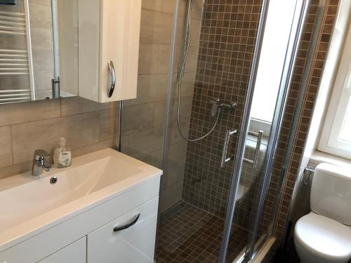 ein Bad mit einer Dusche, einem Waschbecken und einer Dusche in der Unterkunft Appartement Douces heures avec parking couvert privé in Le Locle