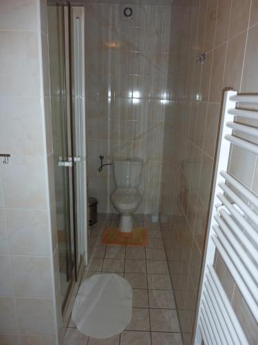 a bathroom with a shower and a toilet in it at Rodinny penzion Kunc in Slavonice