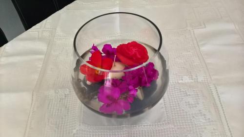 a glass vase filled with red roses and purple flowers at Apartman Zaklopatica in Lastovo