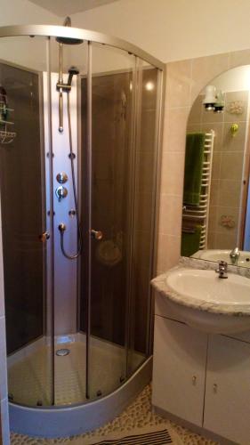 a bathroom with a shower and a sink at Chambres d'hôtes - Domaine Beau Sejour in Biaudos