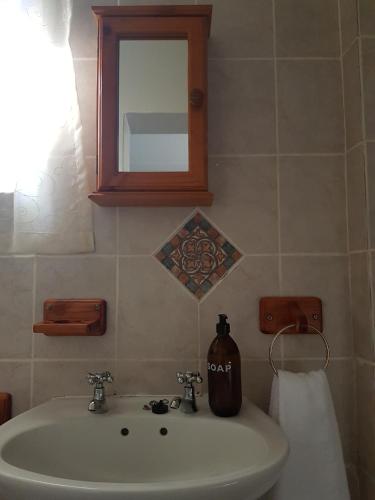 a bathroom with a sink and a mirror at Protea Cottage in George