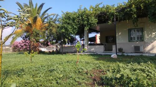 Country Village House