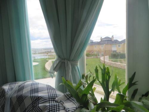 a window with a curtain and a plant in a room at Barrancas Del Golfo in Puerto Madryn