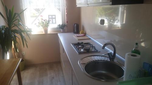 a kitchen with a sink and a stove at A i M in Wisełka