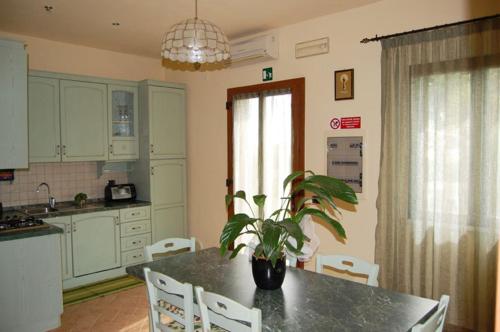 a kitchen with a table with a potted plant on it at Agriturismo Poggio Campana in San Donato