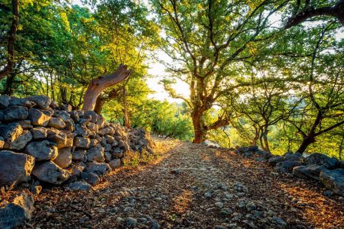 Gallery image of Holiday house Beach Stara Porozina in Cres
