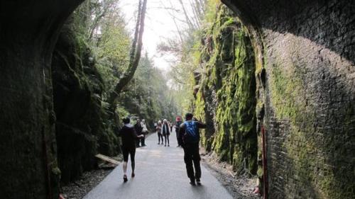 Un gruppo di persone che camminano in un tunnel di Mounvaud Lodge a Stradbally