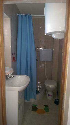 a bathroom with a blue shower curtain and a toilet at Ani in Povljana