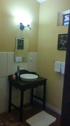 a bathroom with a sink and a mirror at Hotel Montecillos in San José
