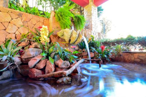 a garden with a pond with rocks and plants at Pousada Ana Terra in Monte Verde
