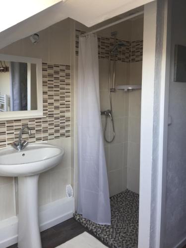 une salle de bain avec un lavabo et une douche dans l'établissement Le Dhoni, à Fécamp