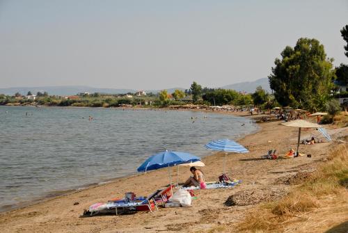 a beach with umbrellas and people sitting on the sand at Elena Hotel in Arkítsa