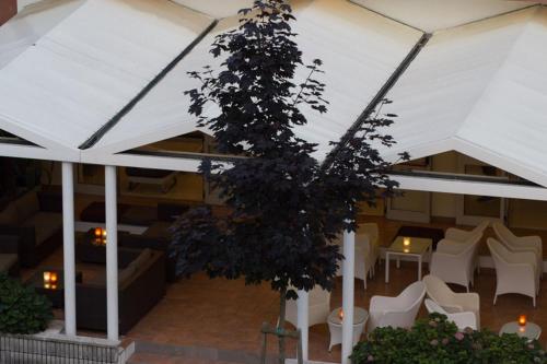 Hotel Aurora في لينانو سابيادورو: شجرة في غرفة بها كراسي بيضاء ومبنى