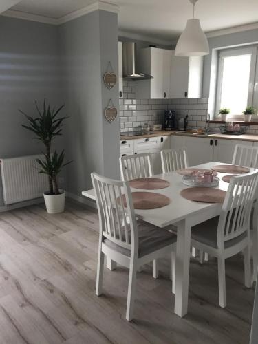 Apartament Julek klimatyzowany