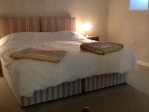 Temple Combeにある5 High Streetのベッド1台(毛布2枚、枕2つ付)