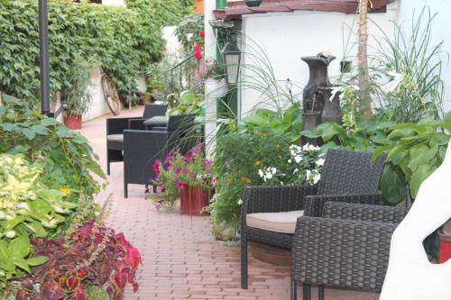 a patio with chairs and flowers and plants at Laubgassl in Mörbisch am See