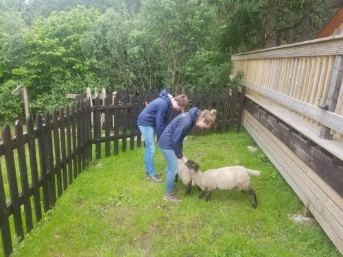 two women standing next to a fence with a sheep at Riverside in Skeabost
