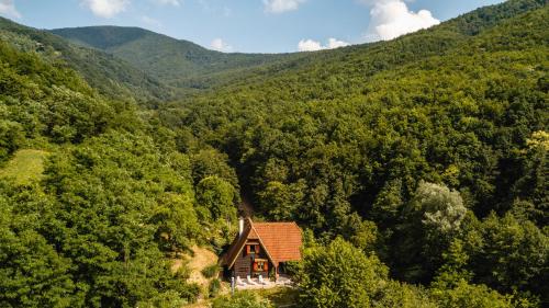 une maison au milieu d'une forêt dans l'établissement Challet Bella, à Poljanica Bistranska