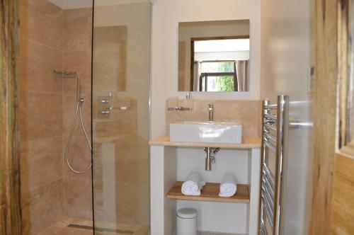 a bathroom with a sink and a shower at Les Gîtes Du Clos D'Olea in Oppède