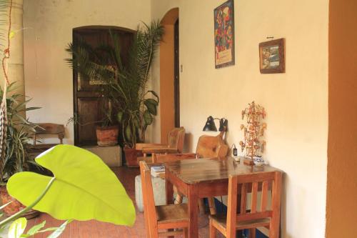Gallery image of Hostal Luz de Luna Nuyoo in Oaxaca City