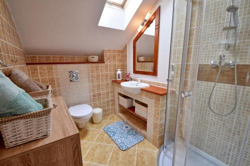 a bathroom with a shower and a sink and a toilet at Apartament Baltic Star Rewal in Rewal