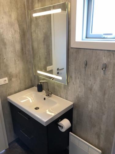 ein Bad mit einem Waschbecken und einem Spiegel in der Unterkunft Afternoon Cottages in Hella