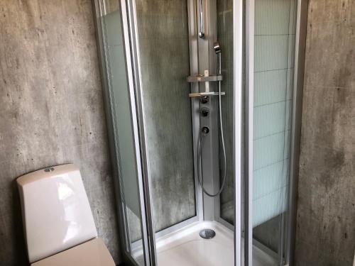 a shower with a toilet and a glass shower stall at Afternoon Cottages in Hella
