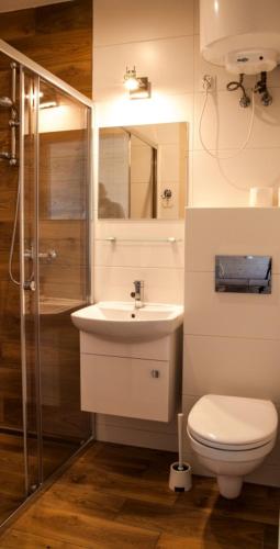 a bathroom with a toilet and a sink and a shower at Przystanek Sarbinowo in Sarbinowo