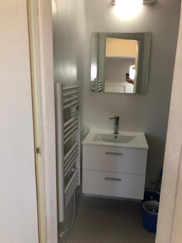 La salle de bains est pourvue d'un lavabo et d'un miroir. dans l'établissement Residence Le Continental, à Vittel