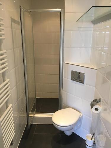 a bathroom with a toilet and a shower at Bungalow Halfweg in Ballum
