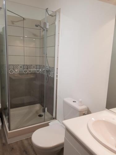 a bathroom with a shower and a toilet and a sink at Gite Felicidade Chambord in Mer