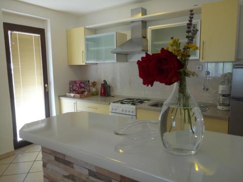 Dapur atau dapur kecil di Holiday Home Božičević