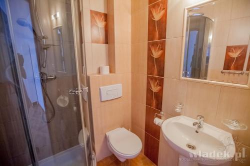 ブワディスワボボにあるPokoje Monikaのバスルーム(シャワー、トイレ、シンク付)