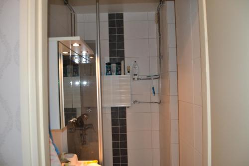 ein Bad mit einer Dusche, einem Spiegel und einem Waschbecken in der Unterkunft Santa´s Studio Valta in Rovaniemi