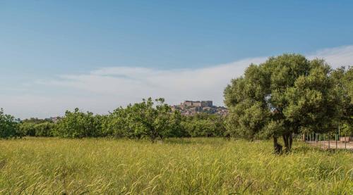 a field of tall grass with a tree and trees at Delfinia Hotel & Bungalows in Mithymna
