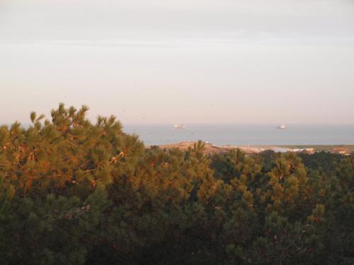 Příroda nedaleko prázdninového domu