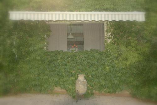 a vase sitting in front of a plant with a window at LAGO GABBIANO PODERe CASANOVA in Pistoia
