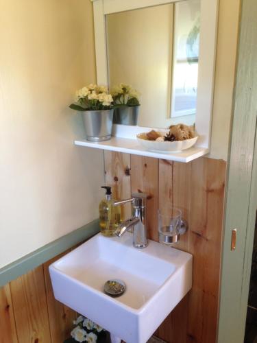 a bathroom with a white sink and a mirror at Lizzie off grid Shepherds Hut The Buteland Stop in Bellingham