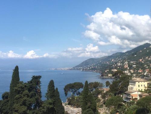 a view of a large body of water with trees at B&B Casetta del Marinaio in Camogli