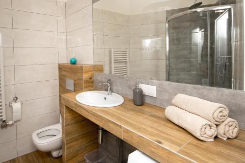 克拉科夫的住宿－Blue Apartment Old Town Air Condition p4you pl，一间带水槽、淋浴和卫生间的浴室