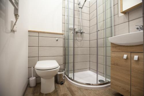 a bathroom with a shower and a toilet and a sink at Namelis Preiloje in Neringa