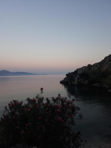 a view of a body of water with pink flowers at Blue View in Qeparo