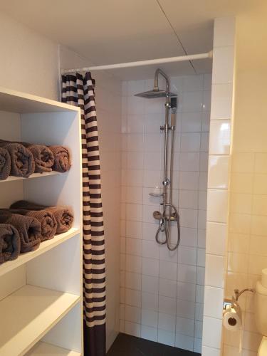 y baño con ducha y cortina de ducha. en Unieke stadswoning voor 2 personen met Finse sauna en Apeldoorn
