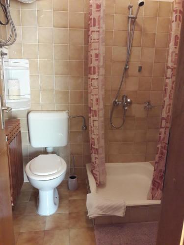 a bathroom with a toilet and a shower at Apartments Merica in Novalja