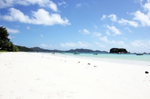 a beach with white sand and blue water and trees at Pirogue Lodge in Baie Sainte Anne